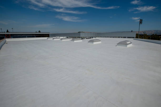 Best Roof Coating and Sealing  in Rushville, NE