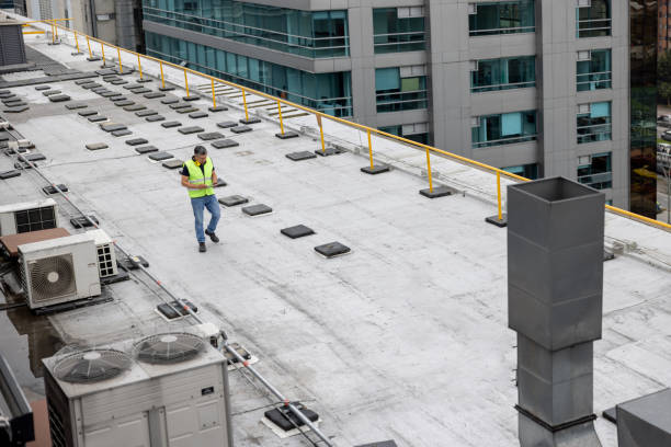 Best Skylight Installation and Repair  in Rushville, NE